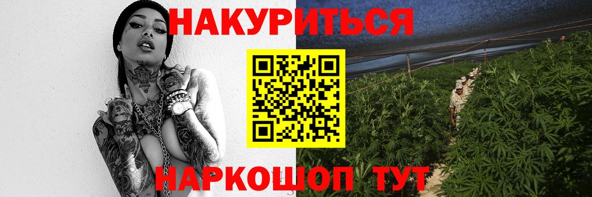 Конопля сатива Минусинск